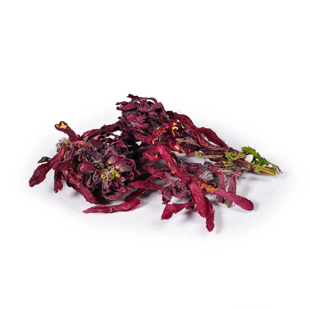 Pedicularis - Regenerative Organic Certified®