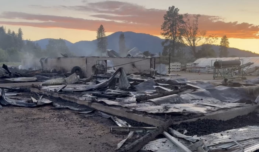 Oshala Farm after the fire