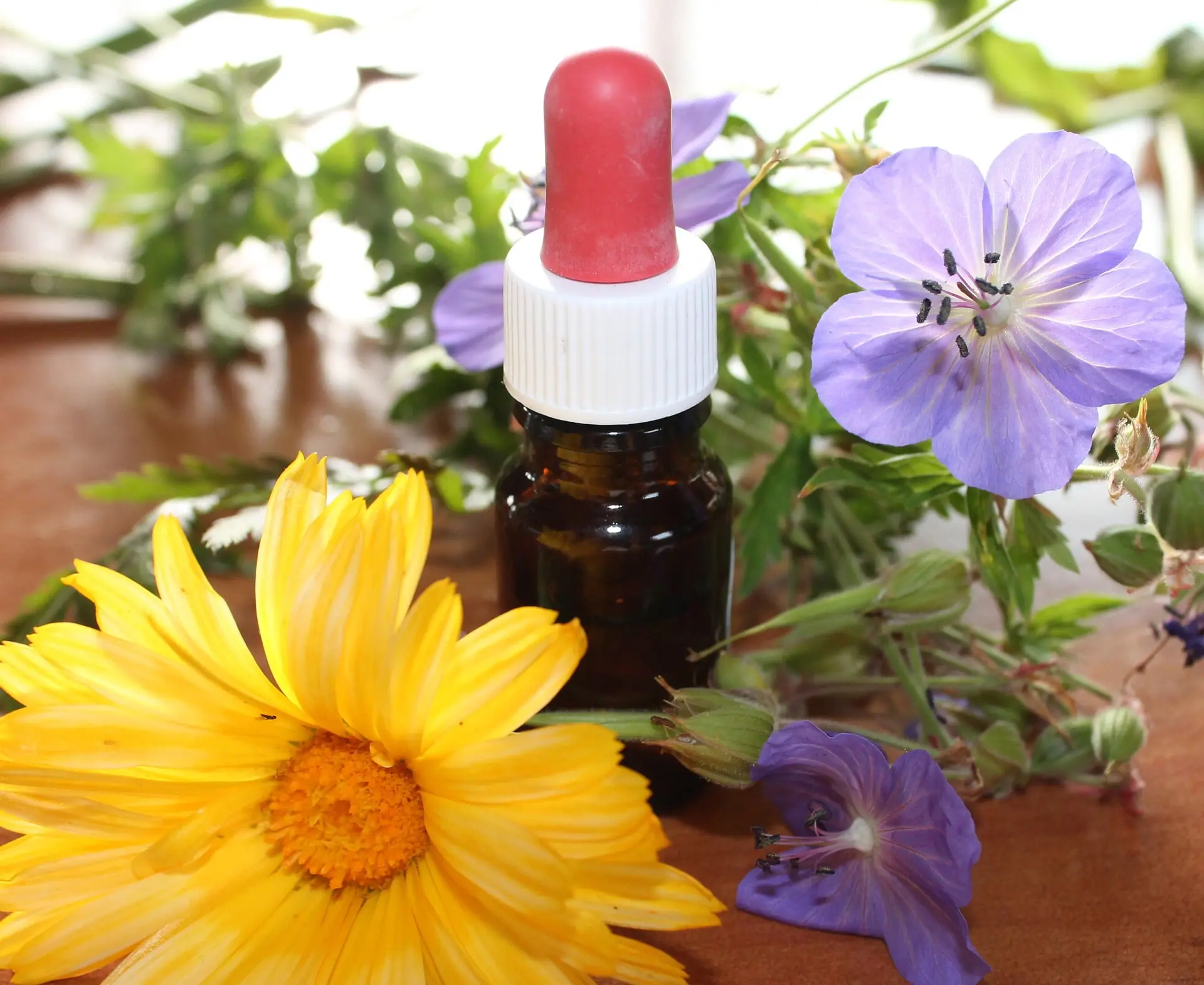 how to make plant tinctures