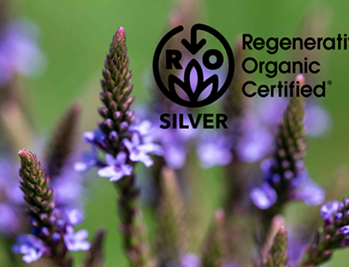 Oshala Farm Achieves Regenerative Organic Certified® Status!