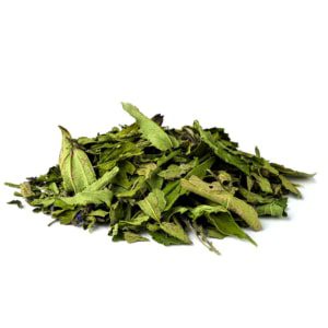 Blue Vervain - Regenerative Organic Certified® - Oshala Farm