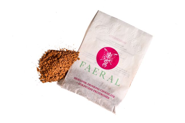 Drinking Chocolate with Cordyceps Fruitbodies
