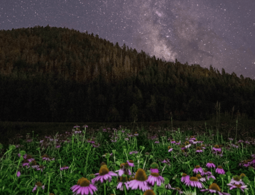 The Season of Night | Fall at Oshala Farm