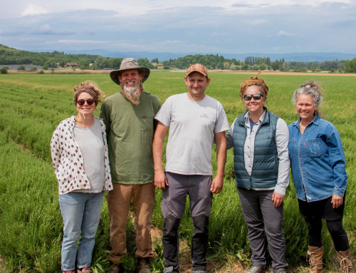Introducing the Oshala Farm Collaborative | A New Model for Organic Herb Sourcing