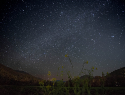 Dirt On The Farm – March 2026