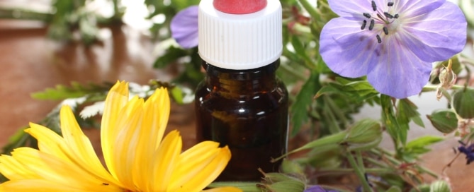 how to make plant tinctures