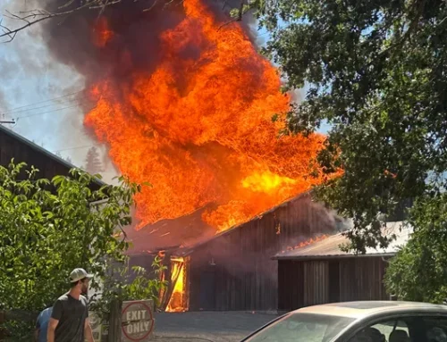 A Devastating Fire at Oshala Farm: Hope Still Grows Here